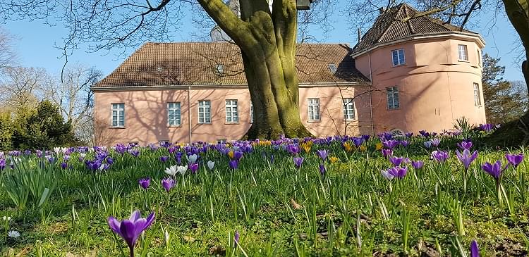 Frühling im Schlossgarten im Februar 2019!