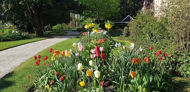 Frühling im Schlossgarten im Februar 2019!