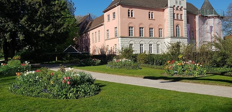 Frühling im Schlossgarten im Februar 2019!