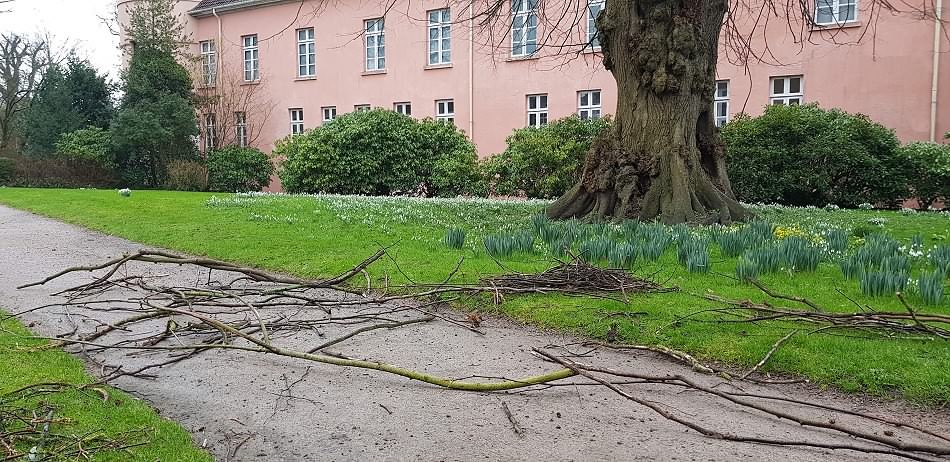 Schlosspark wegen Sturmschäden bis Sonntag geschlossen