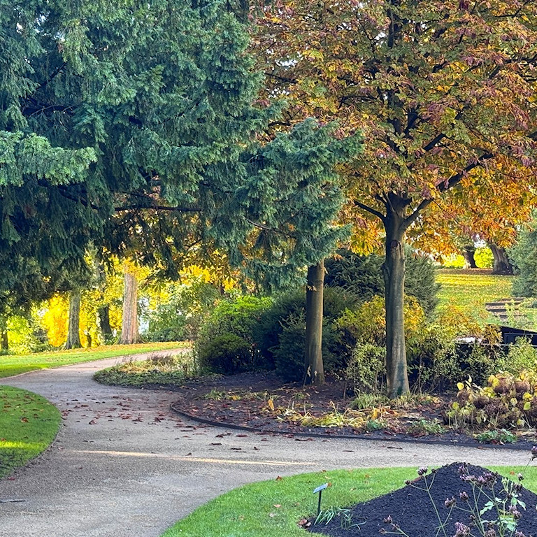 Vortrag von Andreas Folkers: Der Schlosspark Jever im Klimawandel