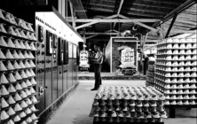 Kaffeefilterproduktion, 1958, Blick in die Werkshalle in Rahling, Foto: Archiv Friesland Porzellan Kaffeefilterproduktion Melitta