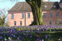 Der Schlosspark im Frühling schlosspark-im-fruehling-5