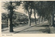 Prinzenallee von 1953.