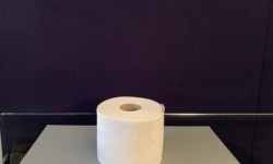 Objekt des Monats im Schlossmuseum Jever zum 1. April