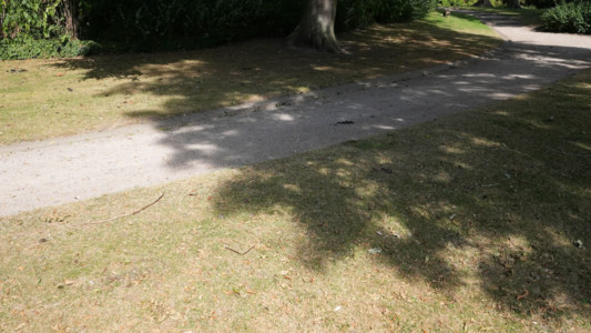 Abb. 3 Das saftige Grün des Rasens wandelt sich in den Sommermonaten in ein unattraktives Braun.