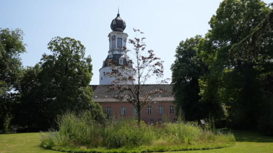Abb. 5 Blühstreifen können für das Mikroklima sehr förderlich sein ...