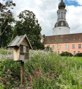 Abb. 6 ... und bieten ebenso Unterschlupf für die ganz kleinen Tiere.