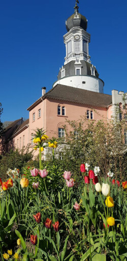 Schloss Jever, Ansicht 3<br />
© Schlossmuseum Jever<br />
JPG, 1.3 MB >><a href="https://www.schlossmuseum.de/wp-content/uploads/2025/01/Schloss-Ansicht-3-Schlossmuseum-Jever.jpg" target="_blank">Download</a><<