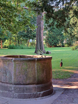 Schlosspark, Alter Brunnen<br />
© Schlossmuseum Jever<br />
JPG, 1.5 MB >><a href="https://www.schlossmuseum.de/wp-content/uploads/2025/01/Schlosspark-Alter-Brunnen-Schlossmuseum-Jever.jpg" target="_blank">Download</a><<
