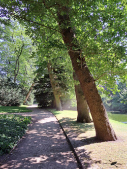 Schlosspark, Ansicht 4<br />
© Schlossmuseum Jever<br />
JPG, 1.6 MB >><a href="https://www.schlossmuseum.de/wp-content/uploads/2025/01/Schlosspark-Ansicht-4-Schlossmuseum-Jever.jpg" target="_blank">Download</a><<