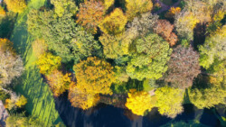 Herbstliche Baumkronen im Schlosspark Jever (2024)<br />
© Schlossmuseum Jever<br />
JPG, 1.1 MB >><a href="https://www.schlossmuseum.de/wp-content/uploads/2025/04/Herbstliche-Baumkronen-im-Schlosspark-Jever-Schlossmuseum-2024.jpg" target="_blank">Download</a><<