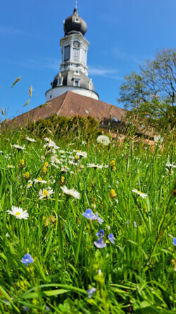 Impression im Schlosspark Jever (2023)<br />
© Schlossmuseum Jever<br />
JPG, 1.0 MB >><a href="https://www.schlossmuseum.de/wp-content/uploads/2025/04/Impression-Schlosspark-Schlossmuseum-2023.jpg" target="_blank">Download</a><<