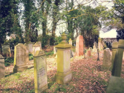 Jüdischer Friedhof Schenum Jever<br />
© Gröschlerhaus Jever<br />
JPG, 5.0 MB >><a href="https://www.schlossmuseum.de/wp-content/uploads/2025/09/juedischer-friedhof-schenum-jever-presse.jpg" target="_blank">Download</a><<